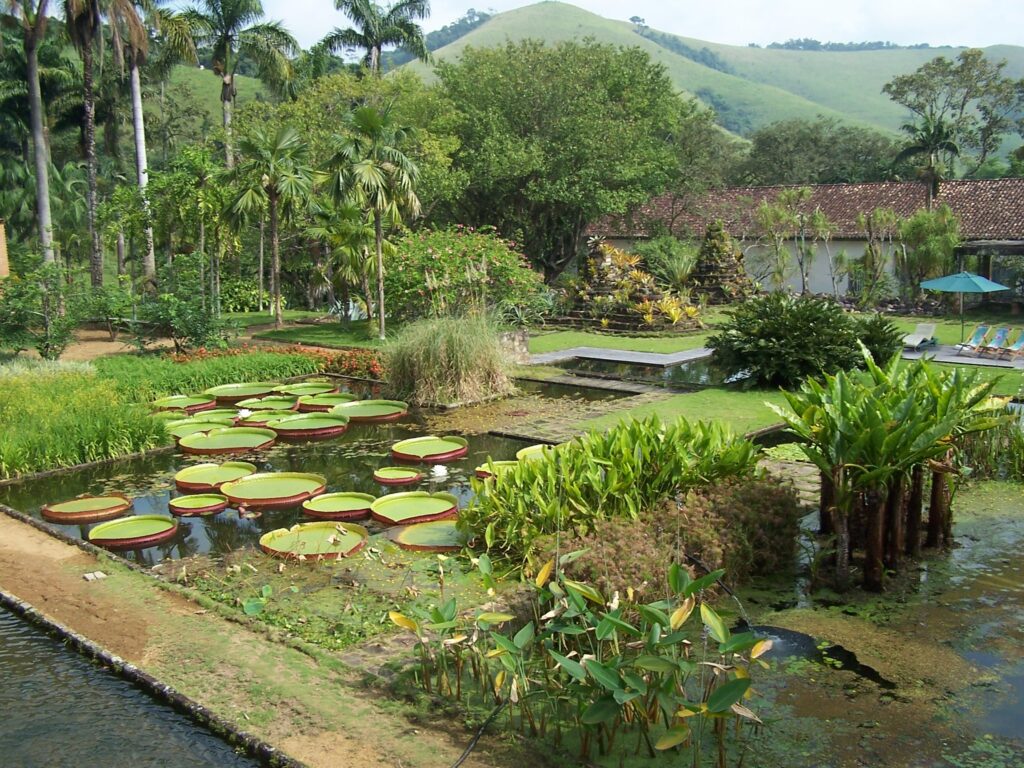 Burle Marx, numa fazenda de 1837